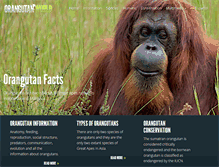 Tablet Screenshot of orangutan-world.com